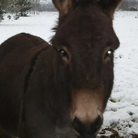 Pensjonat Domaine De L'asenon Causse-et-Diege